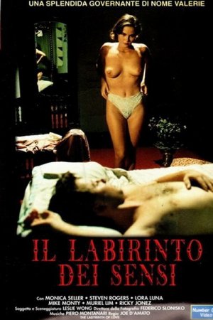 Il Labirinto dei Sensi (1994)