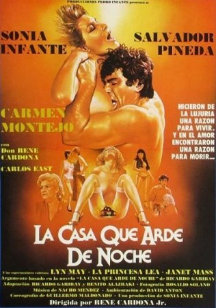 La casa que arde de noche (1985)