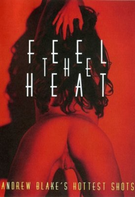 Feel the Heat (2004)